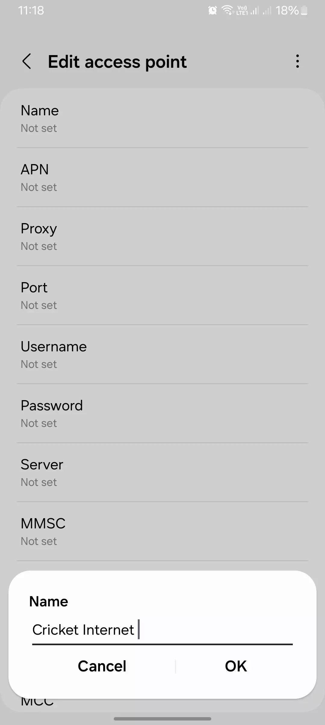 screenshot of naming the apn for cricket