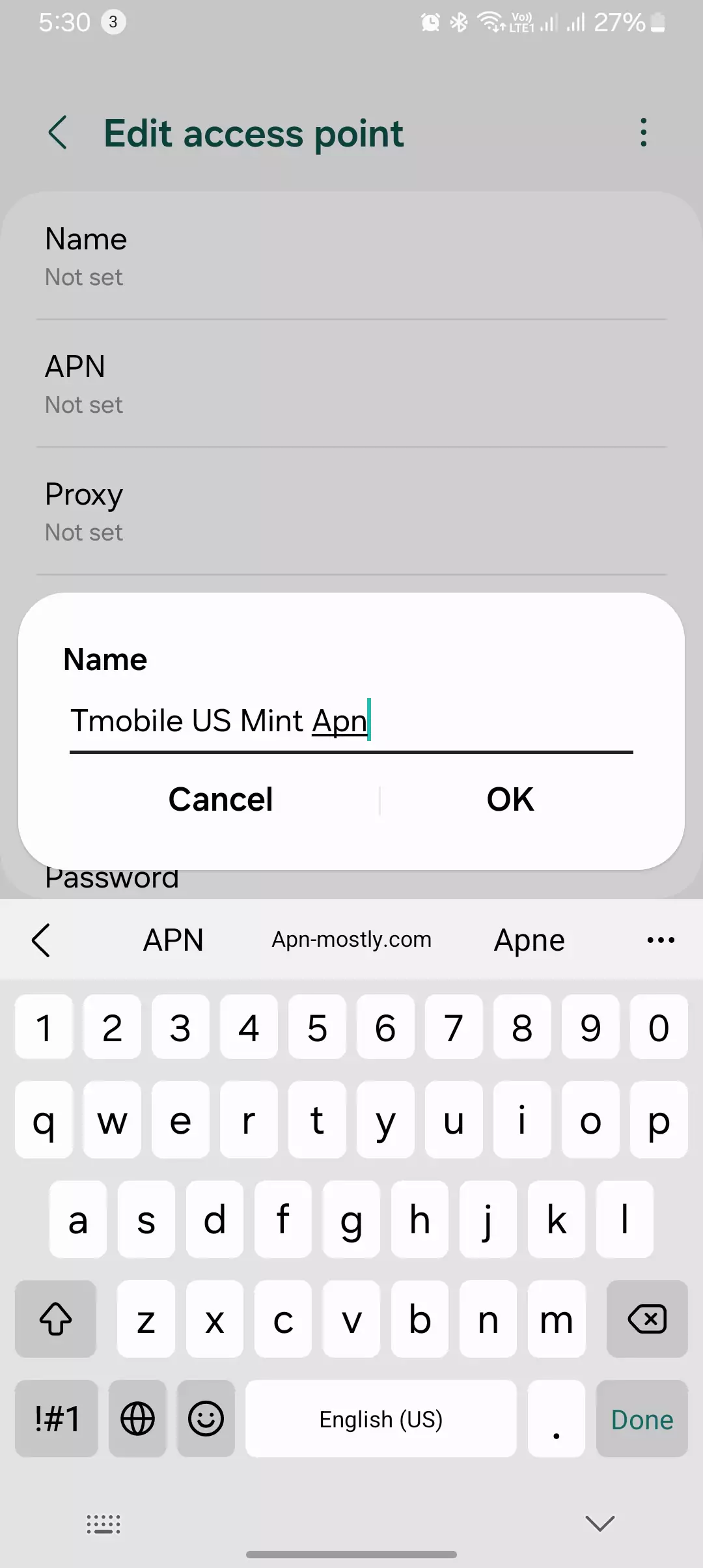 screenshot of naming the mint apn settings for android